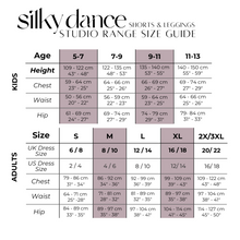 Load image into Gallery viewer, Silky Dance Long Sleeve Zip Crop Top