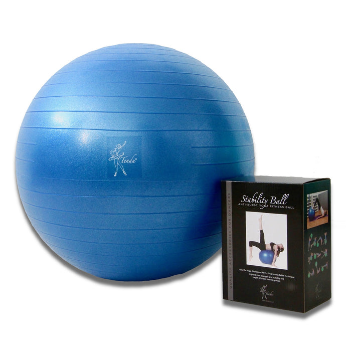 Tendu Stability Ball